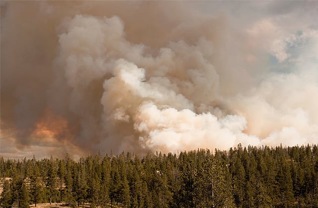 forest-fire-Thermal-economizer-blog.jpg forest-fire-Thermal-economizer-blog.jpg