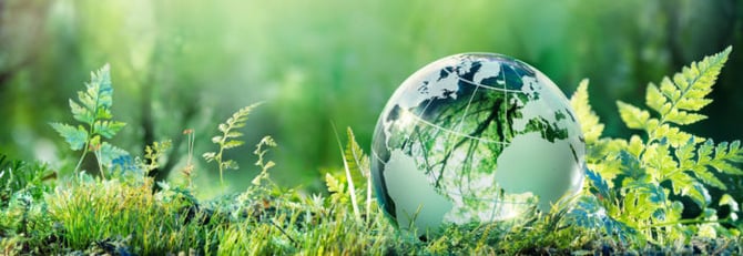 sustainability-header-bg-700x242